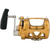 imagePenn International VI Conventional Fishing Reels All Models ampamp SizesGold