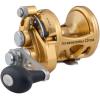imagePenn International VI Conventional Fishing Reels All Models ampamp SizesGold