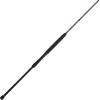 imagePENN Squadron III Surf Spinning Fishing RodSquadron Iii
