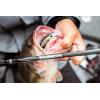 imageAbu Garcia Winch Casting Fishing Rod610  Medium  1pc