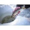 imageBerkley Lightning Ice Fishing Combo Black Grey 28quot  Medium Light  1pc