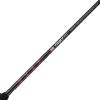imagePENN Fierce IV Spinning Reel and Fishing Rod ComboFierce Iii