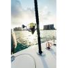 imagePENN Battle IV Spinning Reel and Fishing Rod ComboBattle III