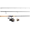 imagePENN Battle IV Spinning Reel and Fishing Rod ComboBattle Iv