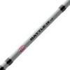 imagePENN Battle IV Spinning Reel and Fishing Rod ComboBattle Iv Le