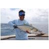 imagePENN Battle Spinning Reel and Fishing Rod ComboBattle Ii Combo