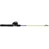 imageShakespeare Catch More Fish Spincast Reel and Fishing Rod Combo with KitLakePond  Yellow