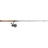 imagePflueger President Spinning Reel and Fishing Rod ComboNew Model