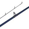 imageFenwick Eagle SalmonSteelhead Casting Fishing RodNew Model