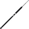 imagePENN Ally II Boat Spinning Fishing RodNew Model