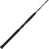 imagePENN Battalion II Inshore Casting Fishing RodBattalion Ii