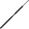 imagePENN Carnage II ampamp Carnage III Boat Conventional Fishing RodCarnage Iii New Model