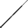 imagePENN Carnage II ampamp Carnage III Boat Conventional Fishing RodCarnage Iii New Model