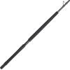 imagePENN Carnage II ampamp Carnage III Boat Conventional Fishing RodCarnage Iii New Model