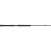 imagePENN Carnage II ampamp Carnage III Boat Conventional Fishing RodCarnage Iii New Model