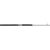 imagePENN Carnage II ampamp Carnage III Boat Conventional Fishing RodCarnage Iii New Model