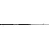 imagePENN Carnage II ampamp Carnage III Boat Conventional Fishing RodCarnage Iii New Model