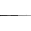 imagePENN Carnage II ampamp Carnage III Boat Conventional Fishing RodCarnage Iii New Model