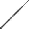imagePENN Carnage II ampamp Carnage III Boat Conventional Fishing RodCarnage Iii New Model