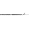 imagePENN Carnage II ampamp Carnage III Boat Conventional Fishing RodCarnage Iii New Model