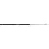 imagePENN Carnage II ampamp Carnage III Boat Conventional Fishing RodCarnage Iii New Model
