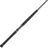 imagePENN Carnage II ampamp Carnage III Boat Conventional Fishing RodCarnage Iii New Model