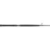 imagePENN Carnage II ampamp Carnage III Boat Conventional Fishing RodCarnage Iii New Model