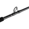imagePENN Carnage II ampamp Carnage III Boat Conventional Fishing RodCarnage Iii New Model