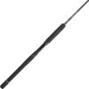 imagePENN Carnage II ampamp Carnage III Spinning Fishing RodCarnage Iii New Model