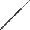 imagePENN Carnage II ampamp Carnage III Spinning Fishing RodCarnage Iii New Model