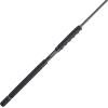 imagePENN Carnage II ampamp Carnage III Spinning Fishing RodCarnage Iii New Model