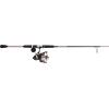 imagePENN Passion II Spinning Reel and Fishing Rod ComboPassion Ii