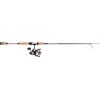 imagePENN Passion II Spinning Reel and Fishing Rod ComboPassion Ii