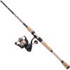 imagePENN Passion II Spinning Reel and Fishing Rod ComboPassion Ii