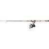 imagePENN Passion II Spinning Reel and Fishing Rod ComboPassion Ii
