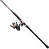 imagePENN Passion II Spinning Reel and Fishing Rod ComboPassion Ii