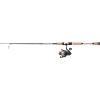 imagePENN Passion II Spinning Reel and Fishing Rod ComboPassion Ii