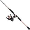 imagePENN Passion II Spinning Reel and Fishing Rod ComboPassion Ii