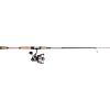 imagePENN Passion II Spinning Reel and Fishing Rod ComboPassion Ii