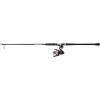 imagePENN Passion II Spinning Reel and Fishing Rod ComboPassion Ii