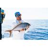 imagePENN Spinfisher VI Spinning Fishing ReelSsvi Long Cast  Old Model