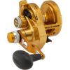 imagePenn Torque Lever Drag 2 Speed Conventional Fishing ReelGold
