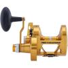 imagePenn Torque Lever Drag 2 Speed Conventional Fishing ReelGold