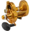 imagePenn Torque Lever Drag 2 Speed Conventional Fishing ReelGold