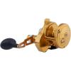 imagePenn Torque Lever Drag 2 Speed Conventional Fishing ReelGold