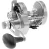 imagePenn Torque Lever Drag 2 Speed Conventional Fishing ReelSilver