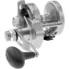imagePenn Torque Lever Drag 2 Speed Conventional Fishing ReelSilver