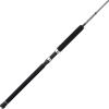 imagePENN Ally II Boat Spinning Fishing RodNew Model