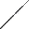 imagePENN Carnage II ampamp Carnage III Boat Conventional Fishing RodCarnage Iii New Model