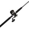 imagePENN Rival Levelwind Combo15 Size Reel  7  Medium  1pc